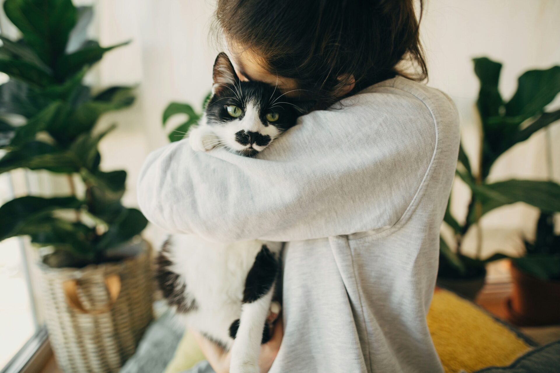 Kind hält eine schwarz-weisse Katze im Arm