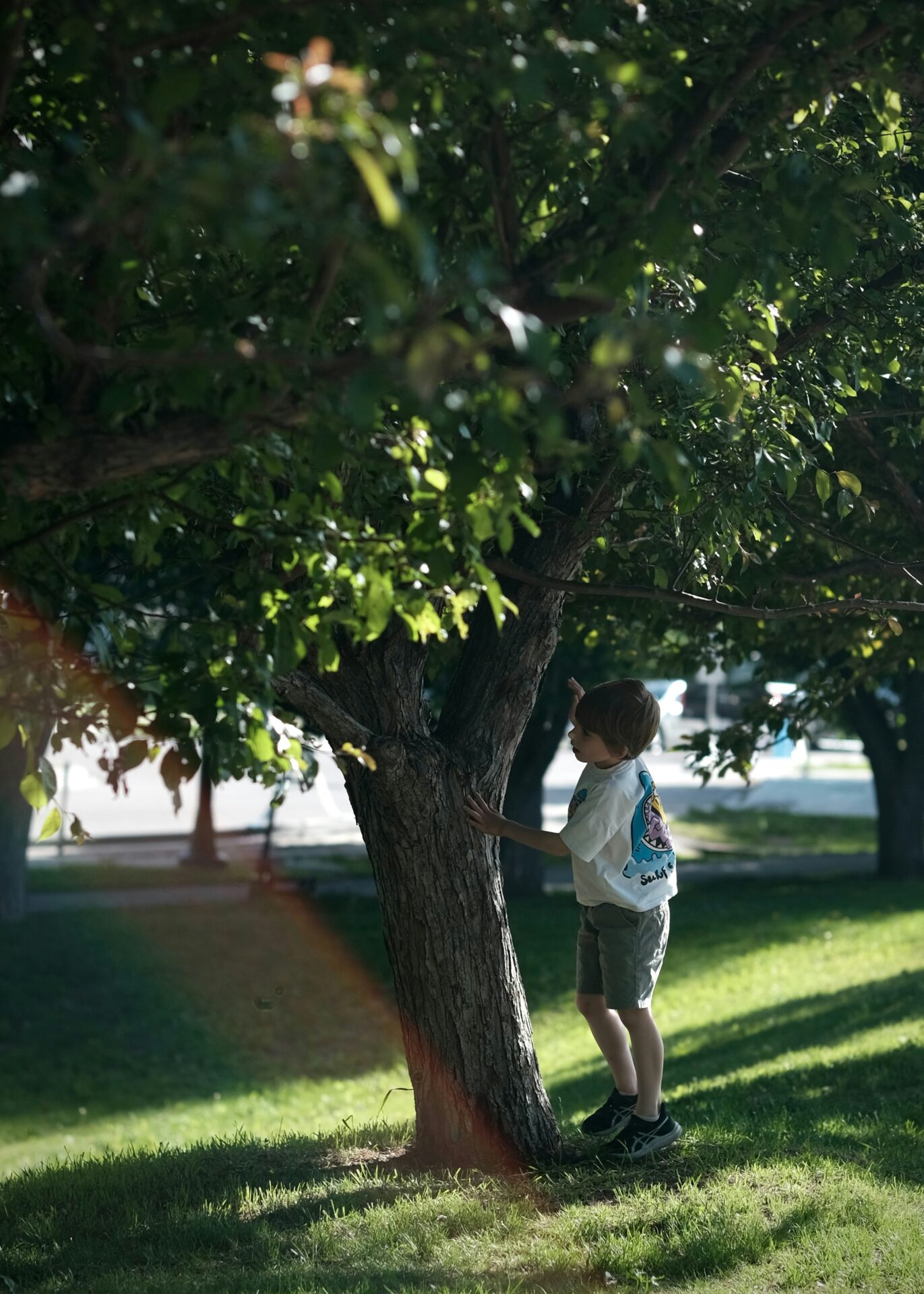 schatten bei hitze kinder, Kind steht im Schatten eines Baumes