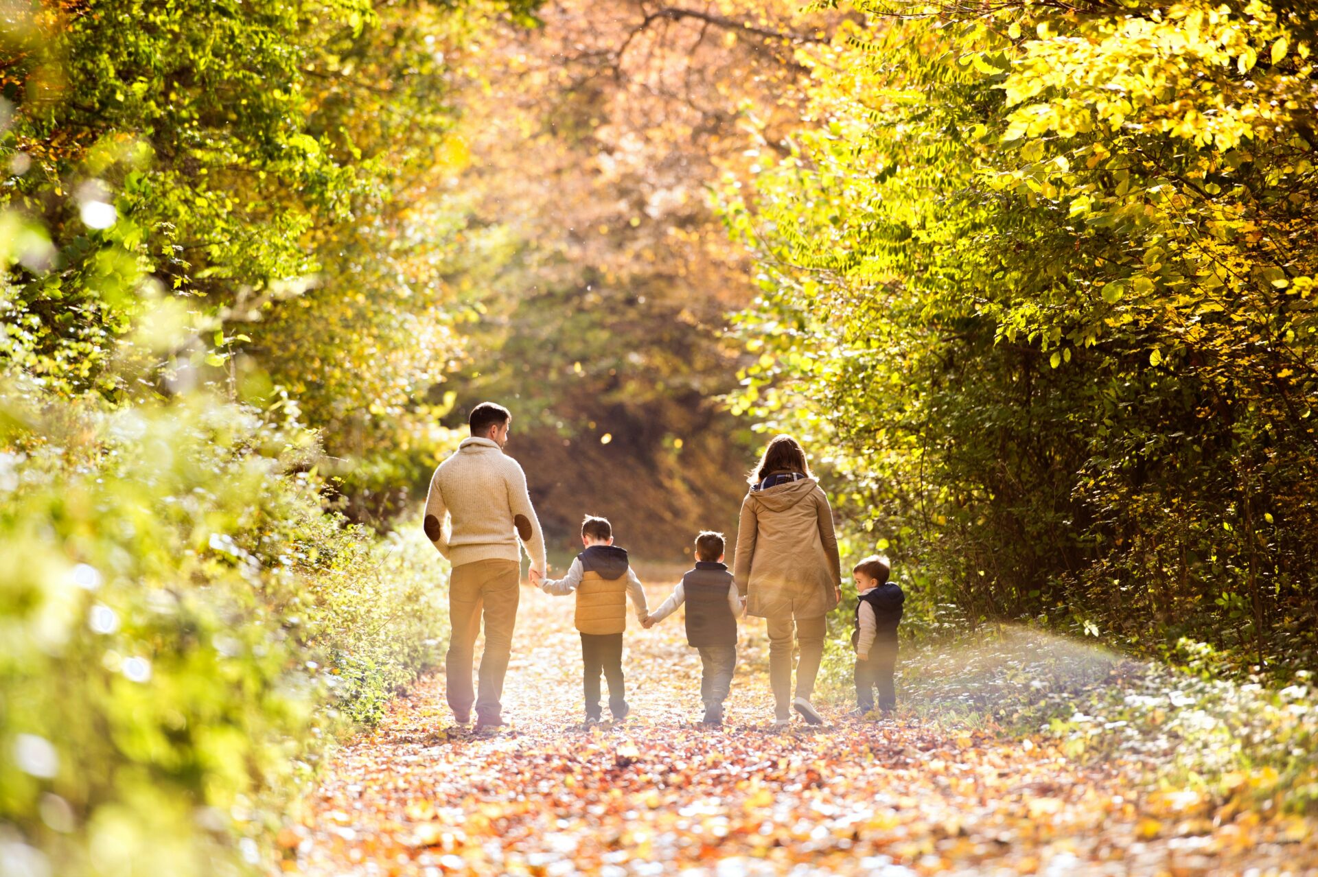 Familie mit Kindern bei einem Spaziergang im herbstlichen Wald